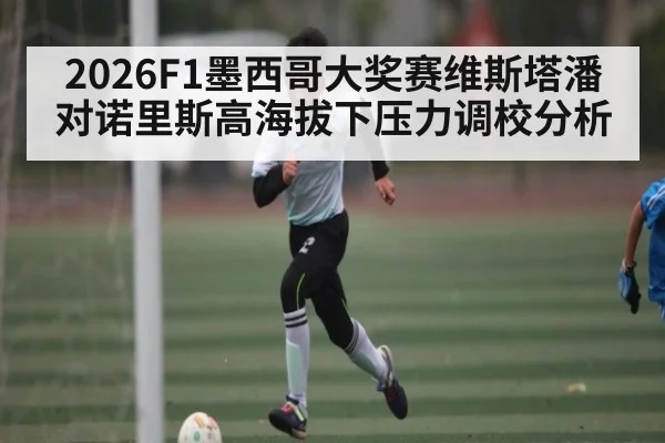 2026F1墨西哥大奖赛维斯塔潘对诺里斯高海拔下压力调校分析
